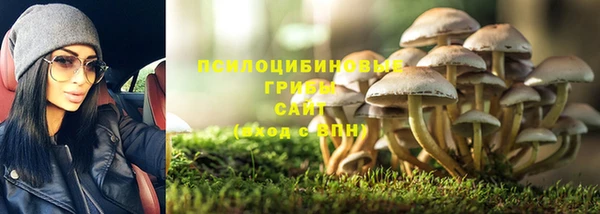 spice Балахна
