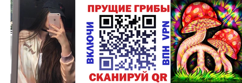 Псилоцибиновые грибы Psilocybine cubensis  Старый Крым 