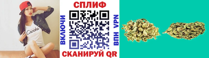 Конопля Amnesia Старый Крым
